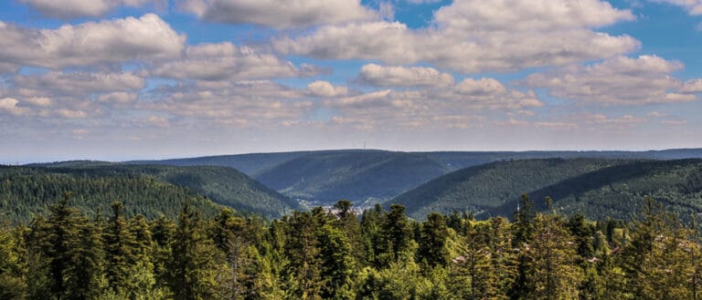Schwarzwald Panorama