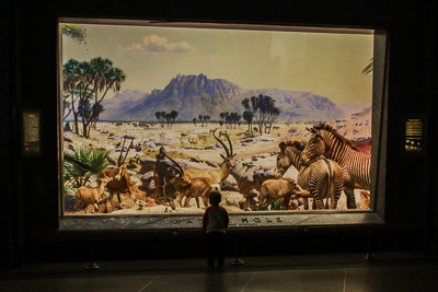 Spannendes Museum mit Kindern: Das American Museum of Natural History 