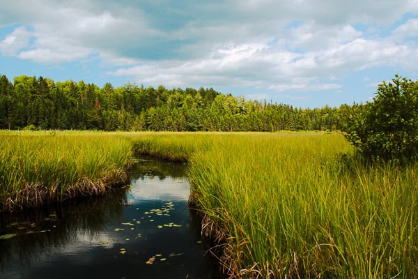 Kanadas Natur im Algonquin Park – Wald und Seen